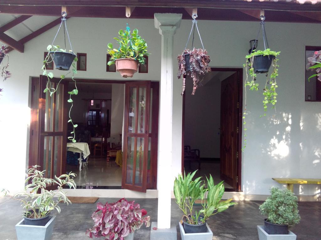 Chelli Homestay Negombo Kültér fotó